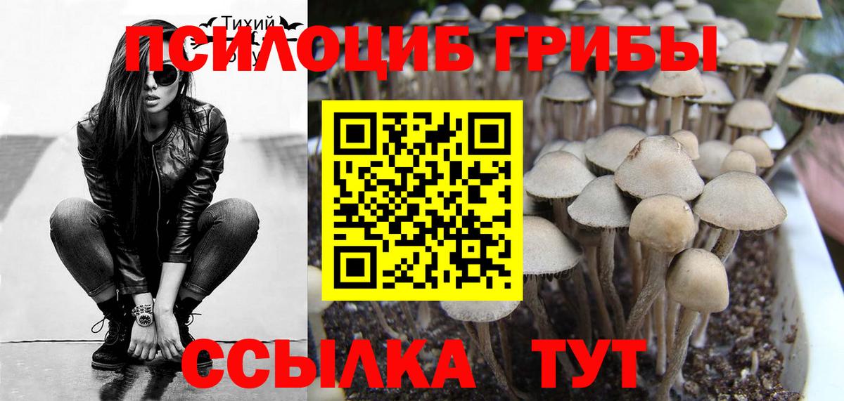 Псилоцибиновые грибы ЛСД Архангельск
