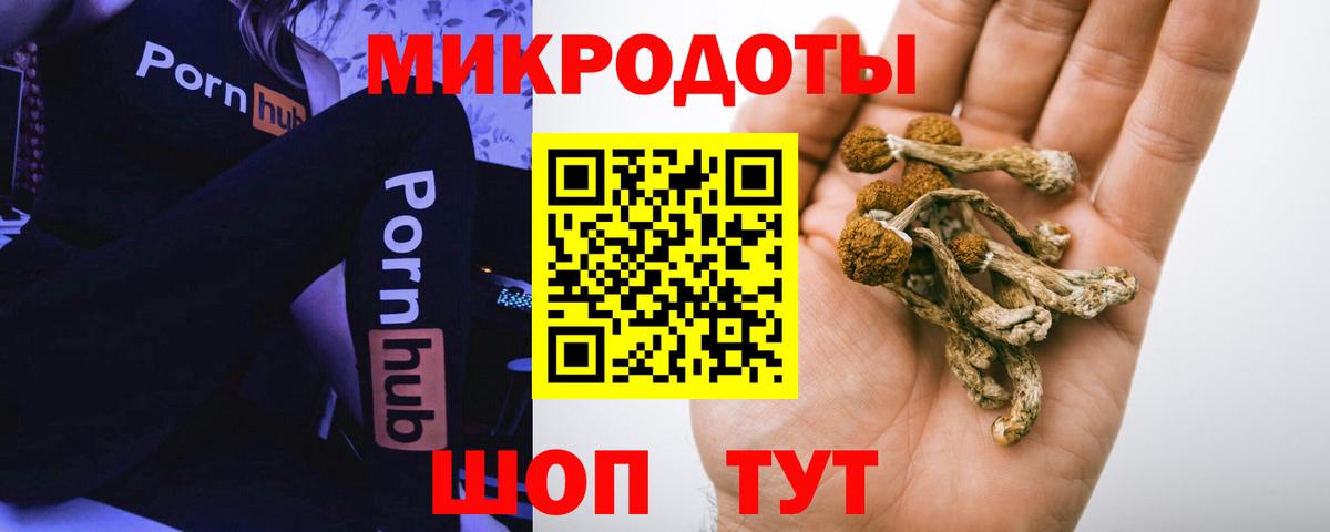Архангельск  Псилоцибиновые грибы Cubensis  Вход с VPN 